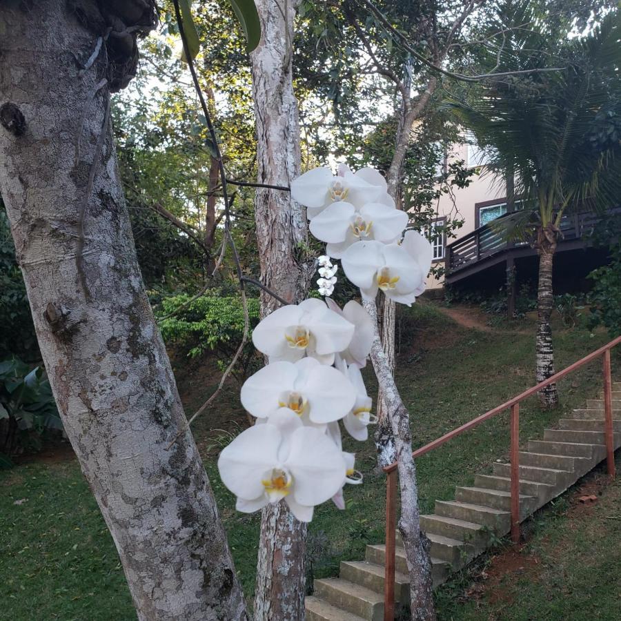Casa de hóspedes Recanto Da Ferradura